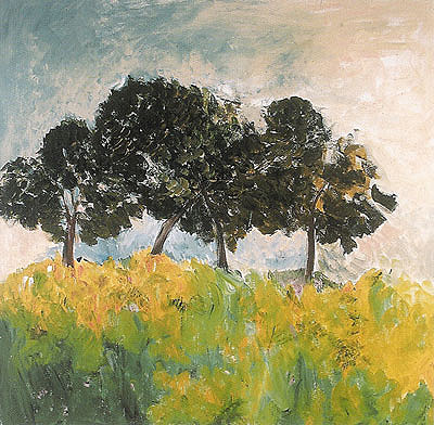 spring, mt. Tabor